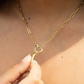 Carabiner Charm Necklace